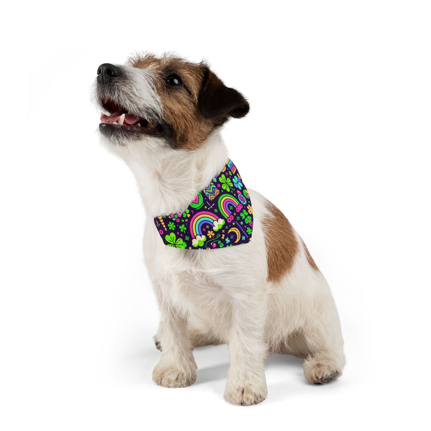 Day-Glo Clover Pet Bandana Collar