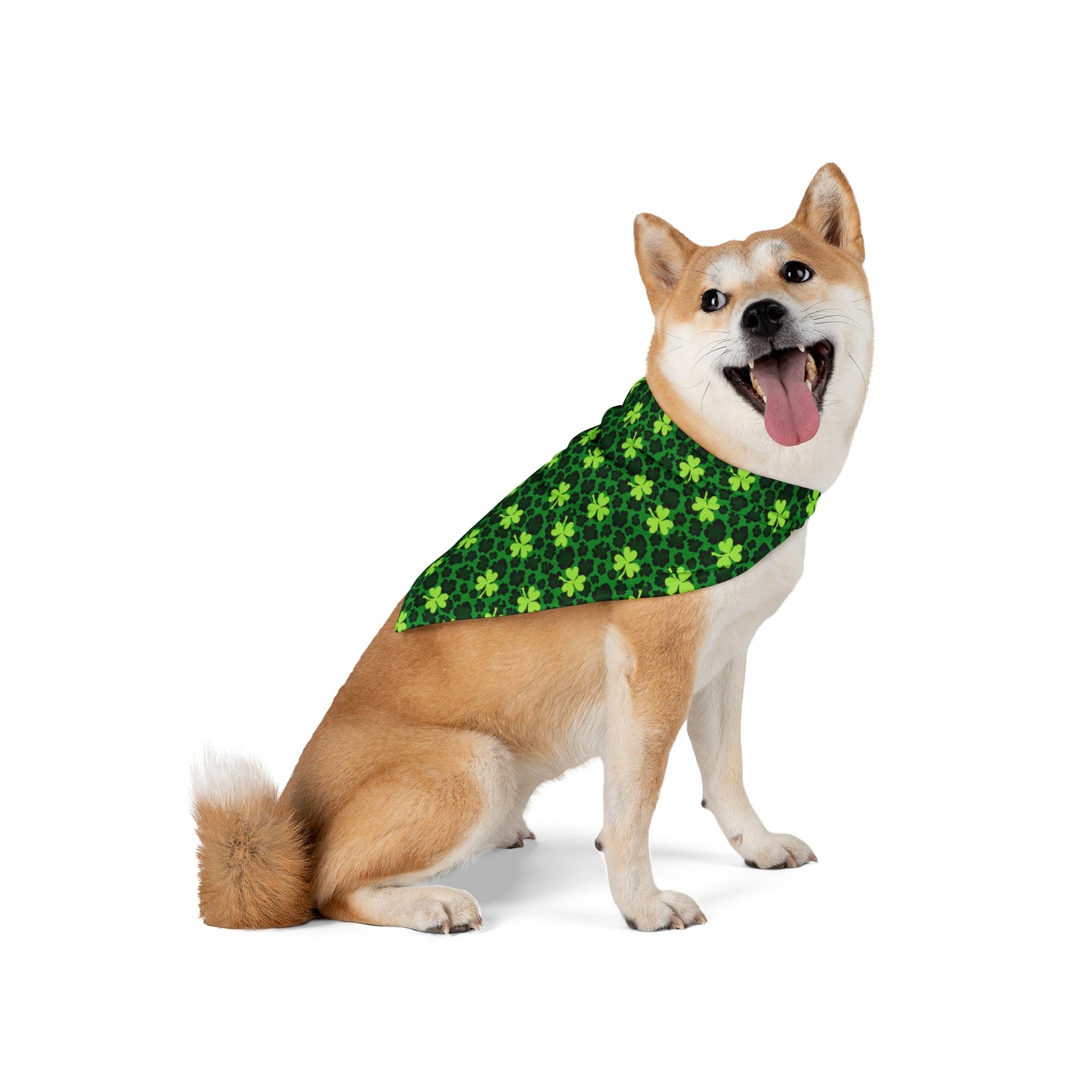 Wild Rock Pet Bandana