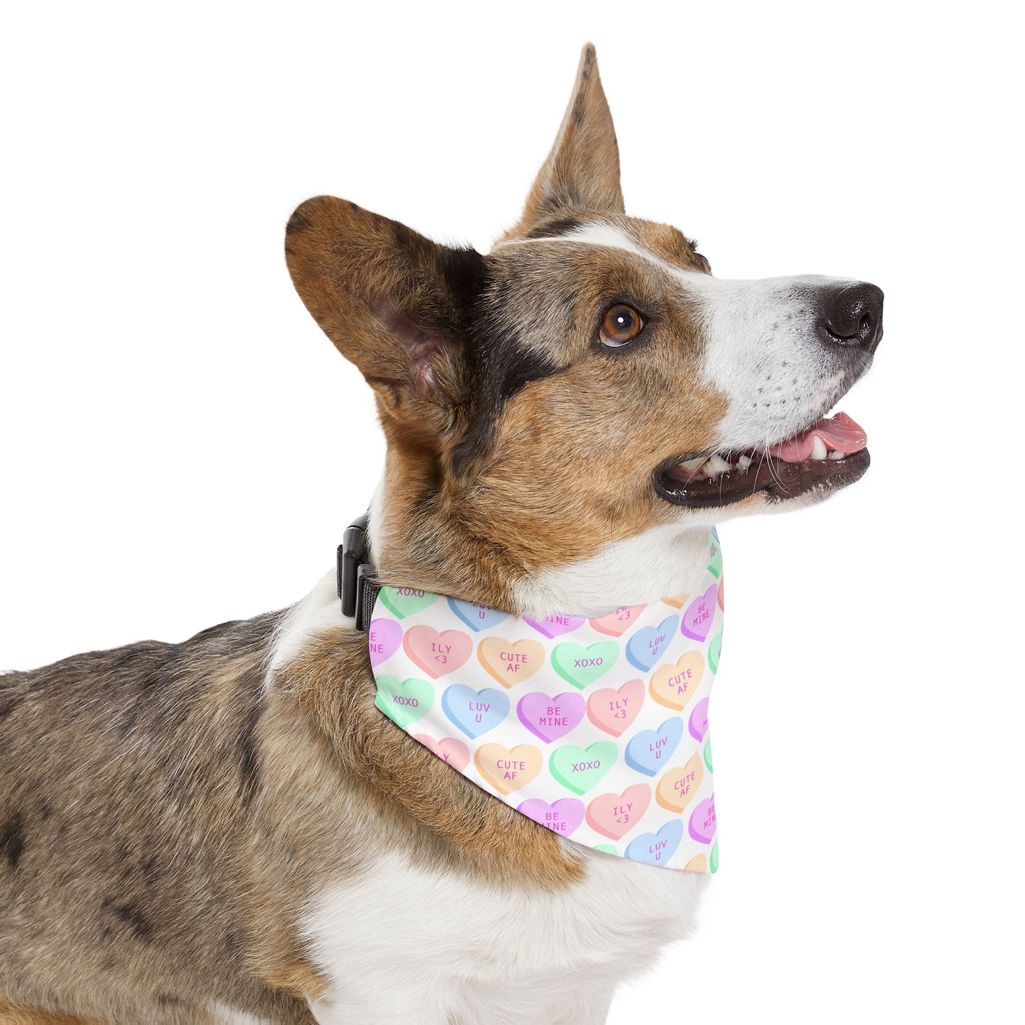 Candy Hearts Pet Bandana Collar