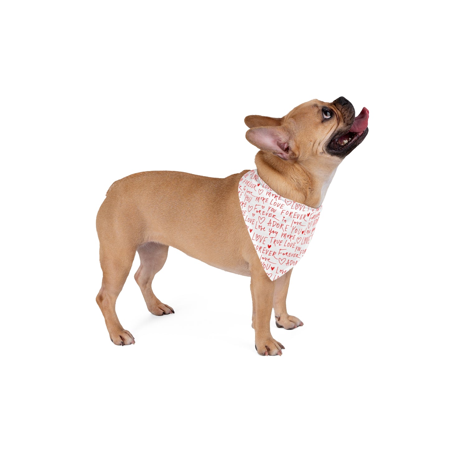 Love Forever Pet Bandana