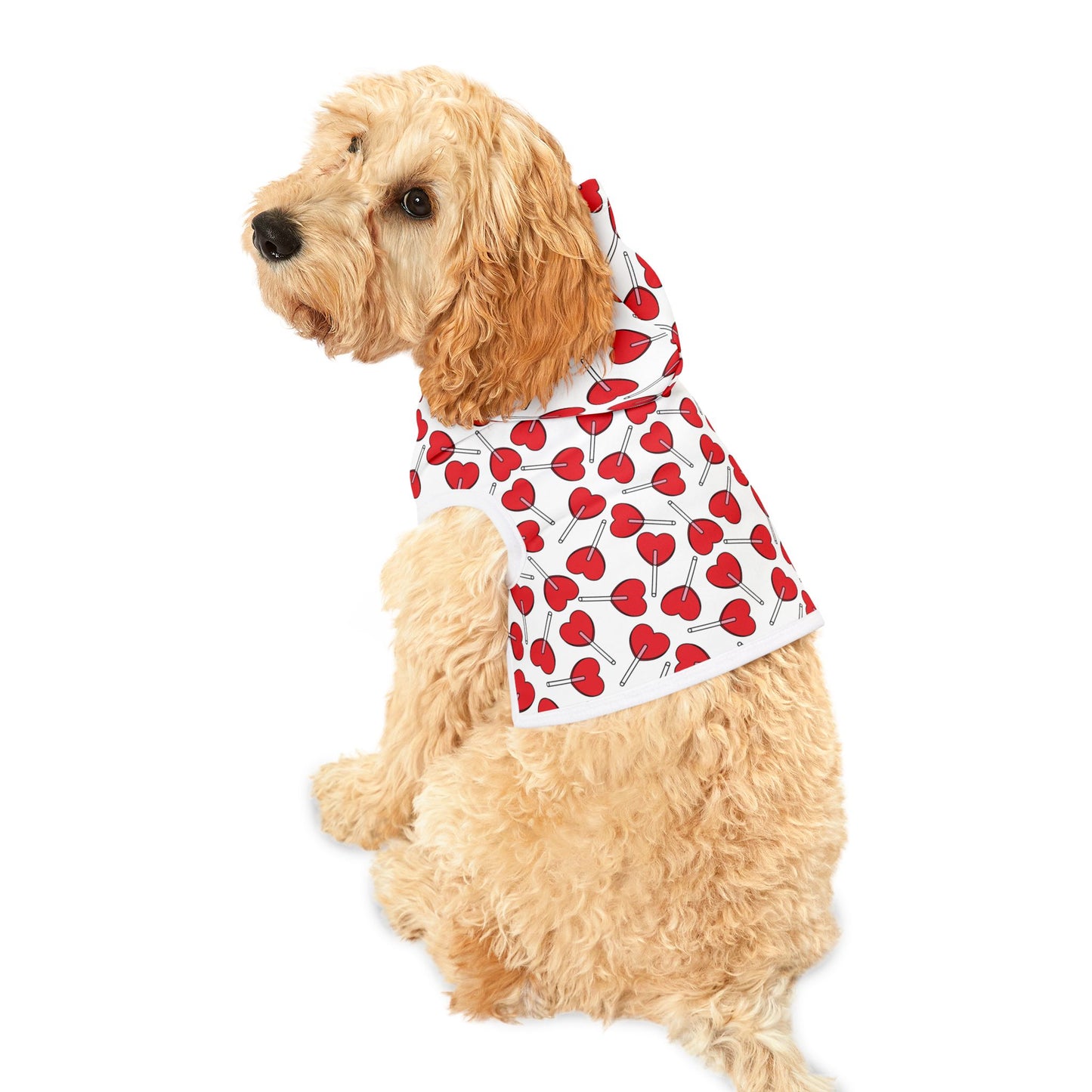 Heart Lollipop Pet Hoodie