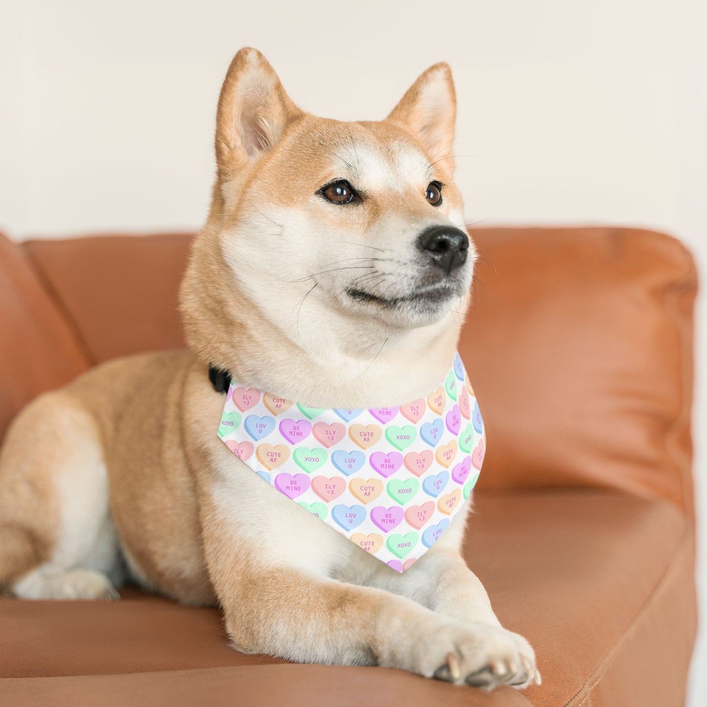 Candy Hearts Pet Bandana Collar