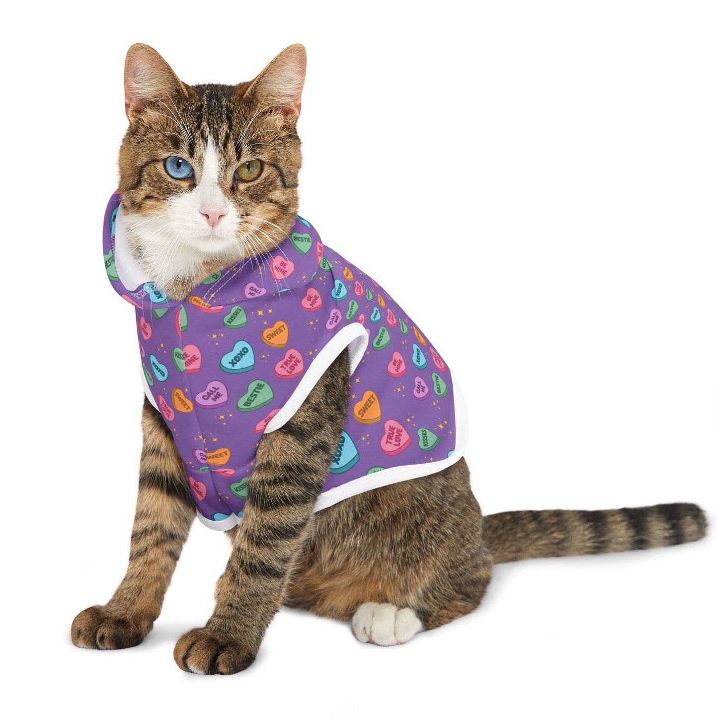 Sweet Conversations Pet Hoodie