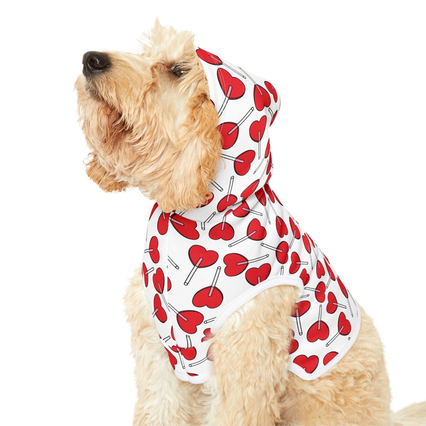 Heart Lollipop Pet Hoodie