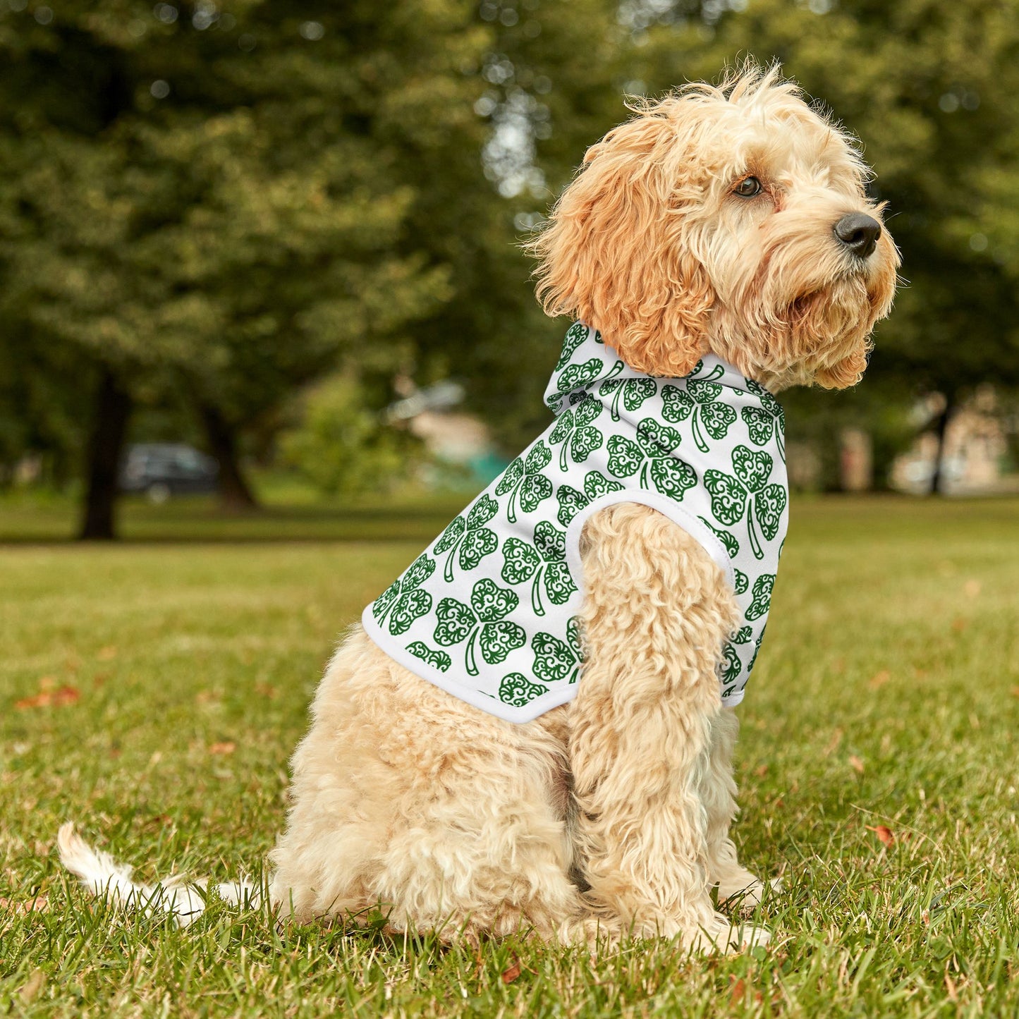 Shamrock Pet Hoodie