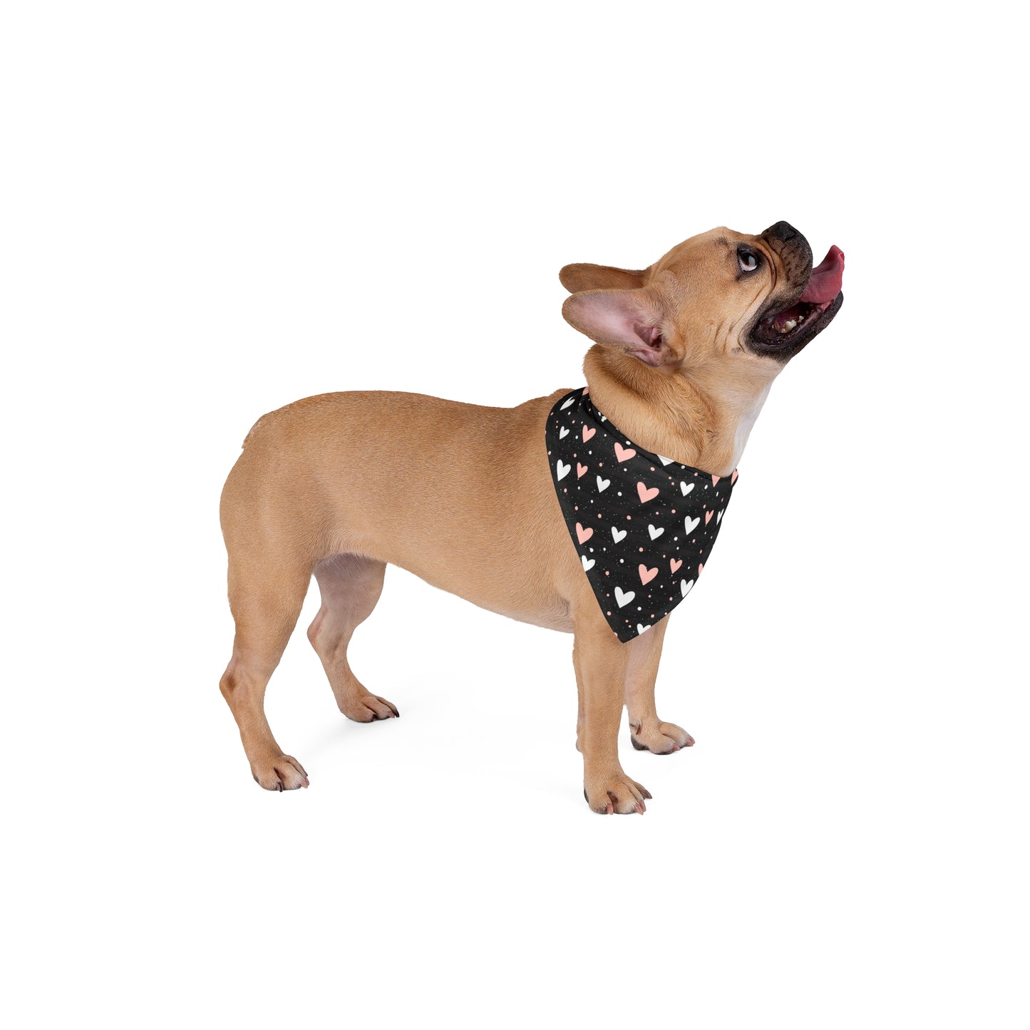 Love-A-Lot Pet Bandana