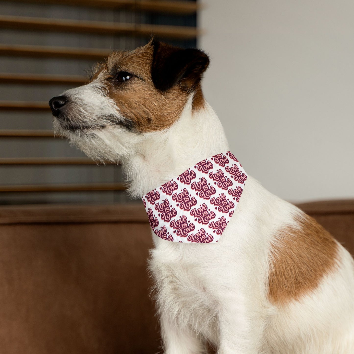 Love is Love Pet Bandana Collar