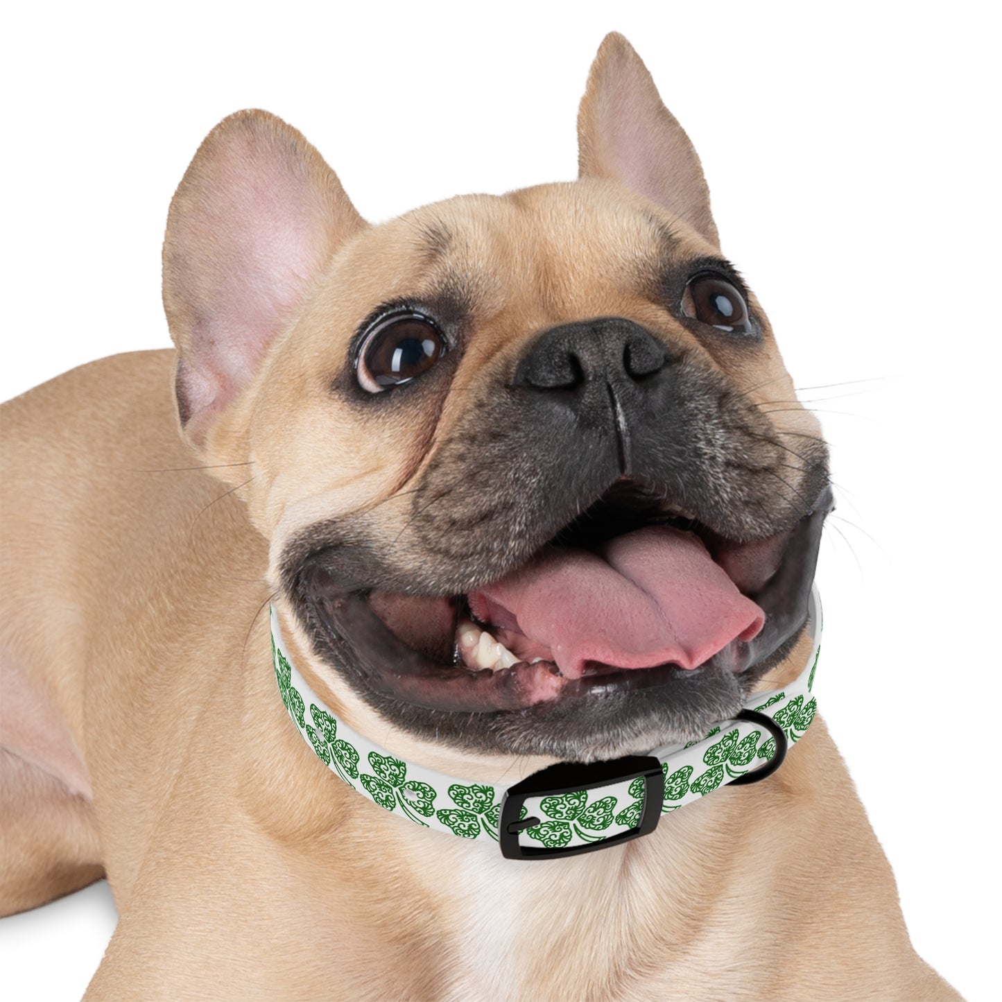 Shamrock Dog Collar