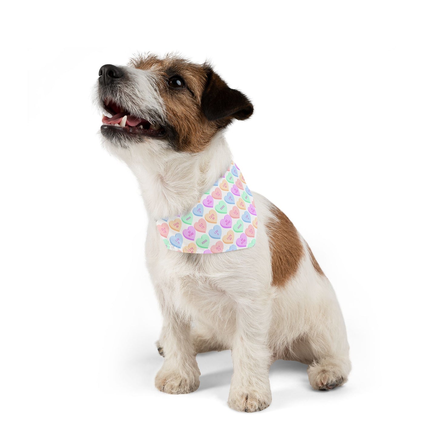 Candy Hearts Pet Bandana Collar