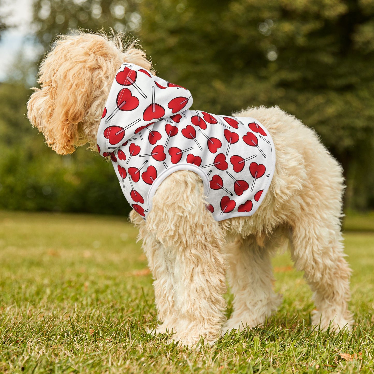 Heart Lollipop Pet Hoodie