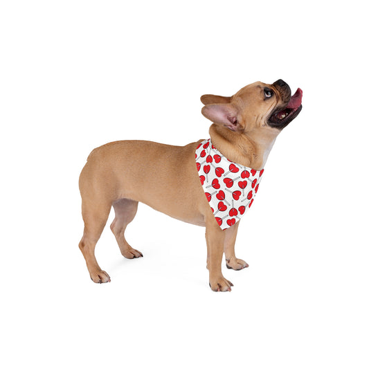 Heart Lollipop Pet Bandana