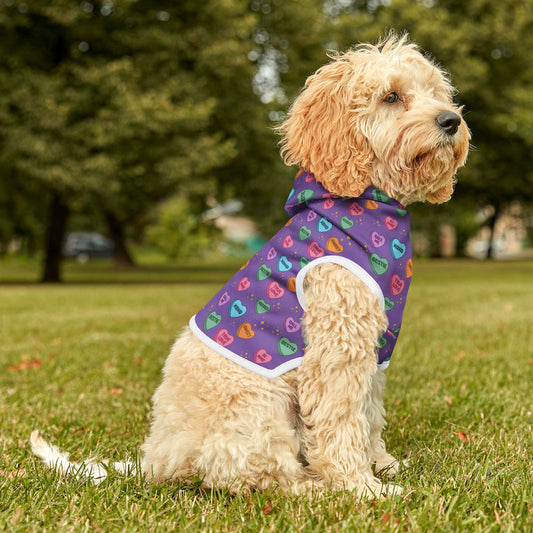 Sweet Conversations Pet Hoodie