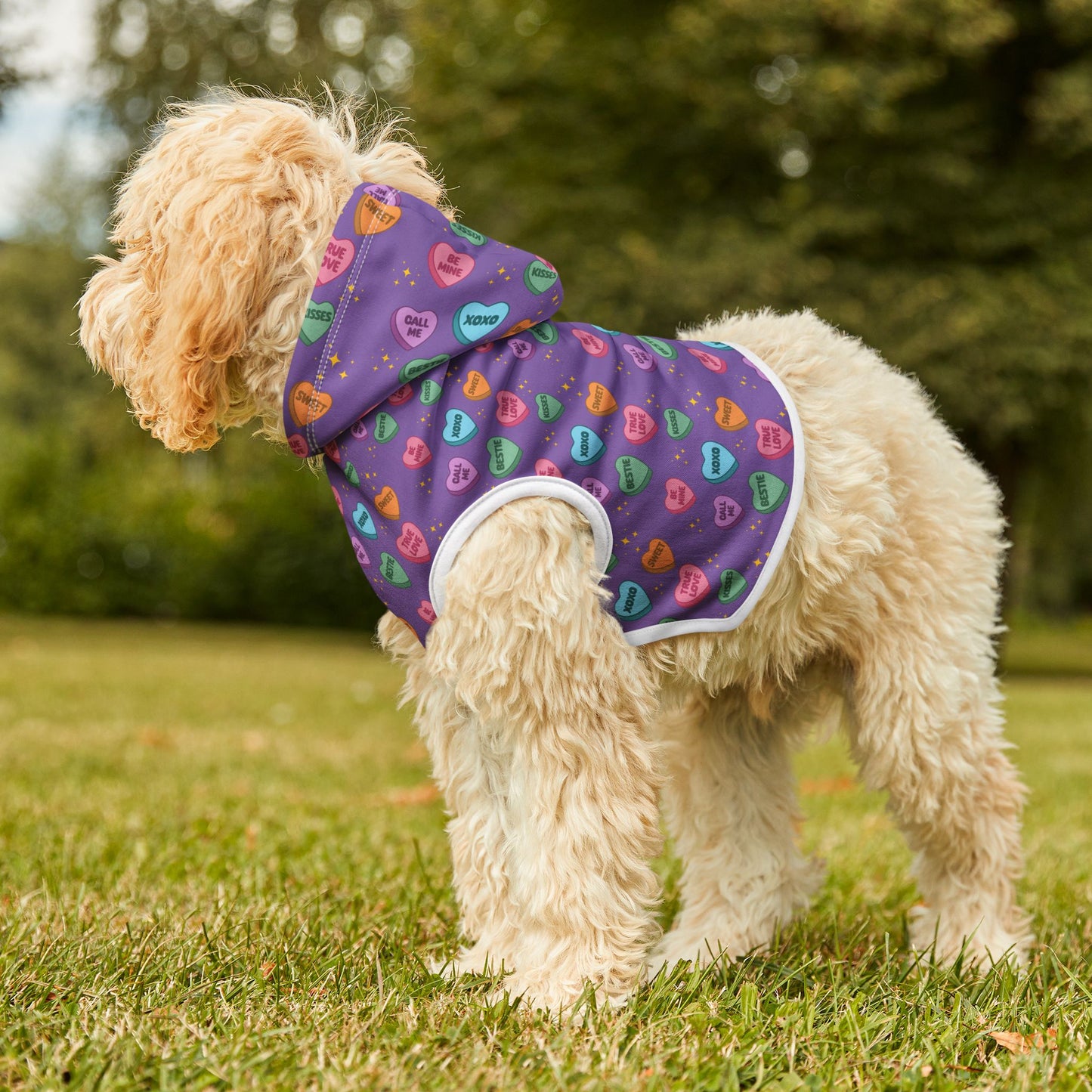 Sweet Conversations Pet Hoodie