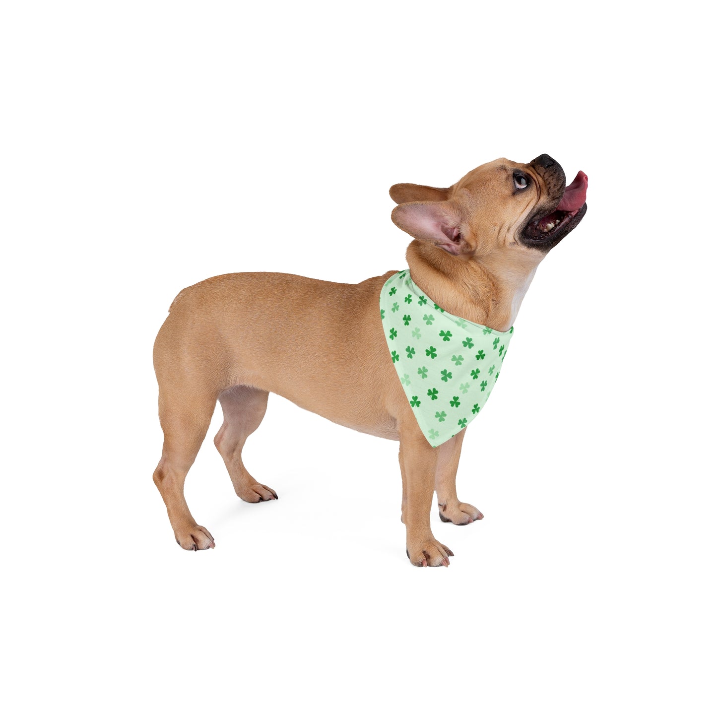 Mint Triple Rock Pet Bandana