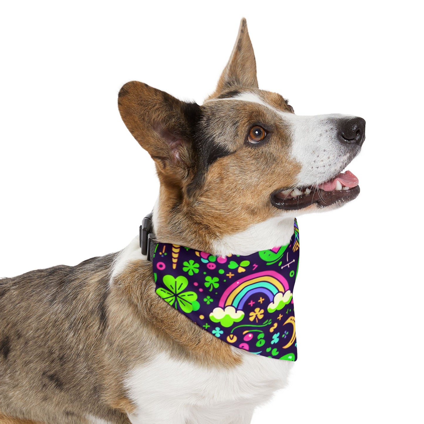 Day-Glo Clover Pet Bandana Collar