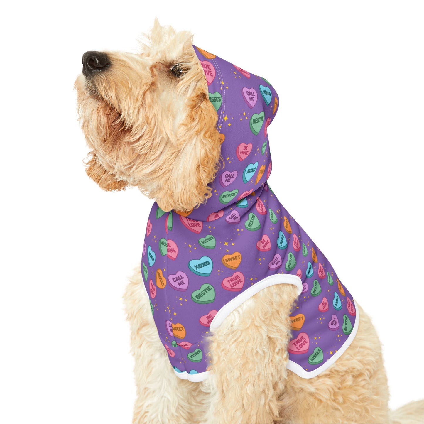 Sweet Conversations Pet Hoodie