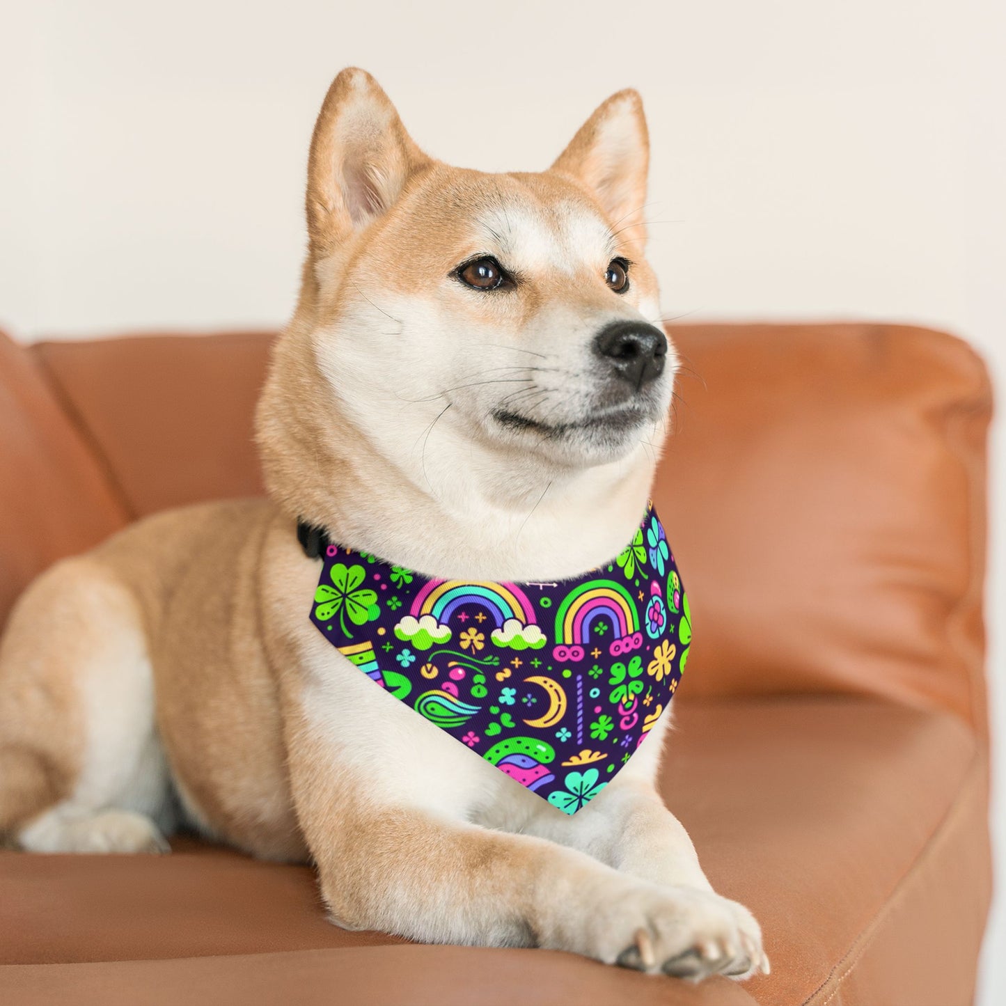 Day-Glo Clover Pet Bandana Collar