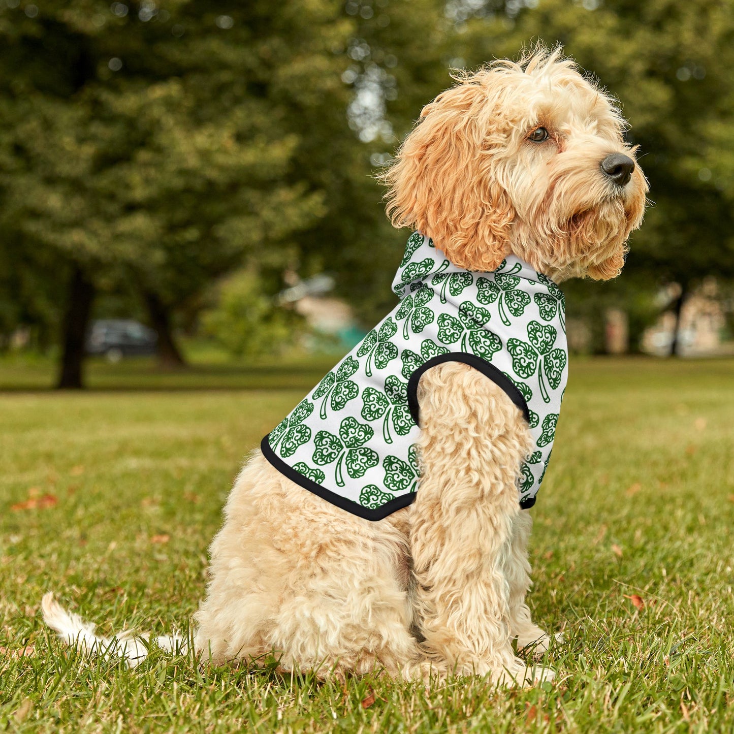 Shamrock Pet Hoodie