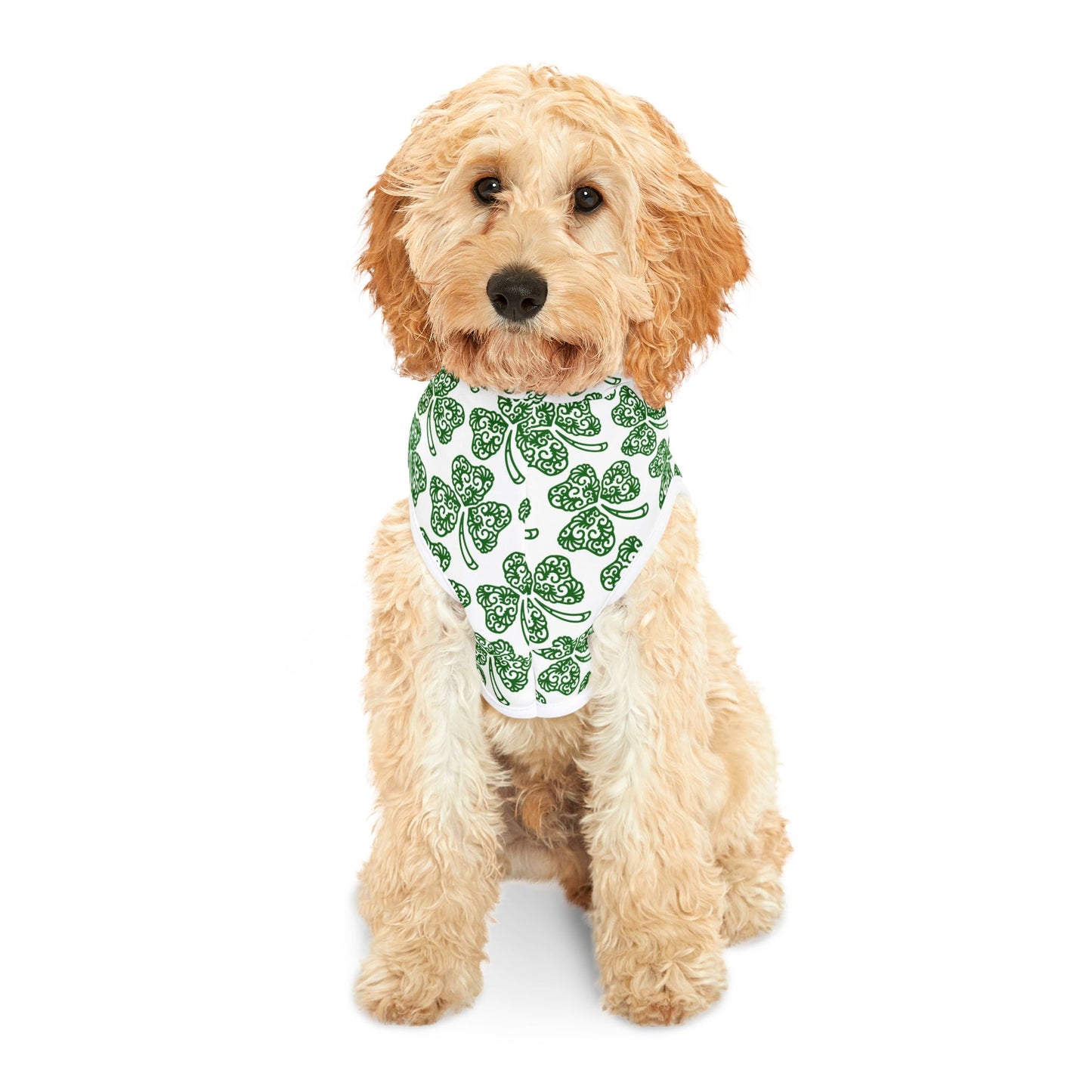 Shamrock Pet Hoodie