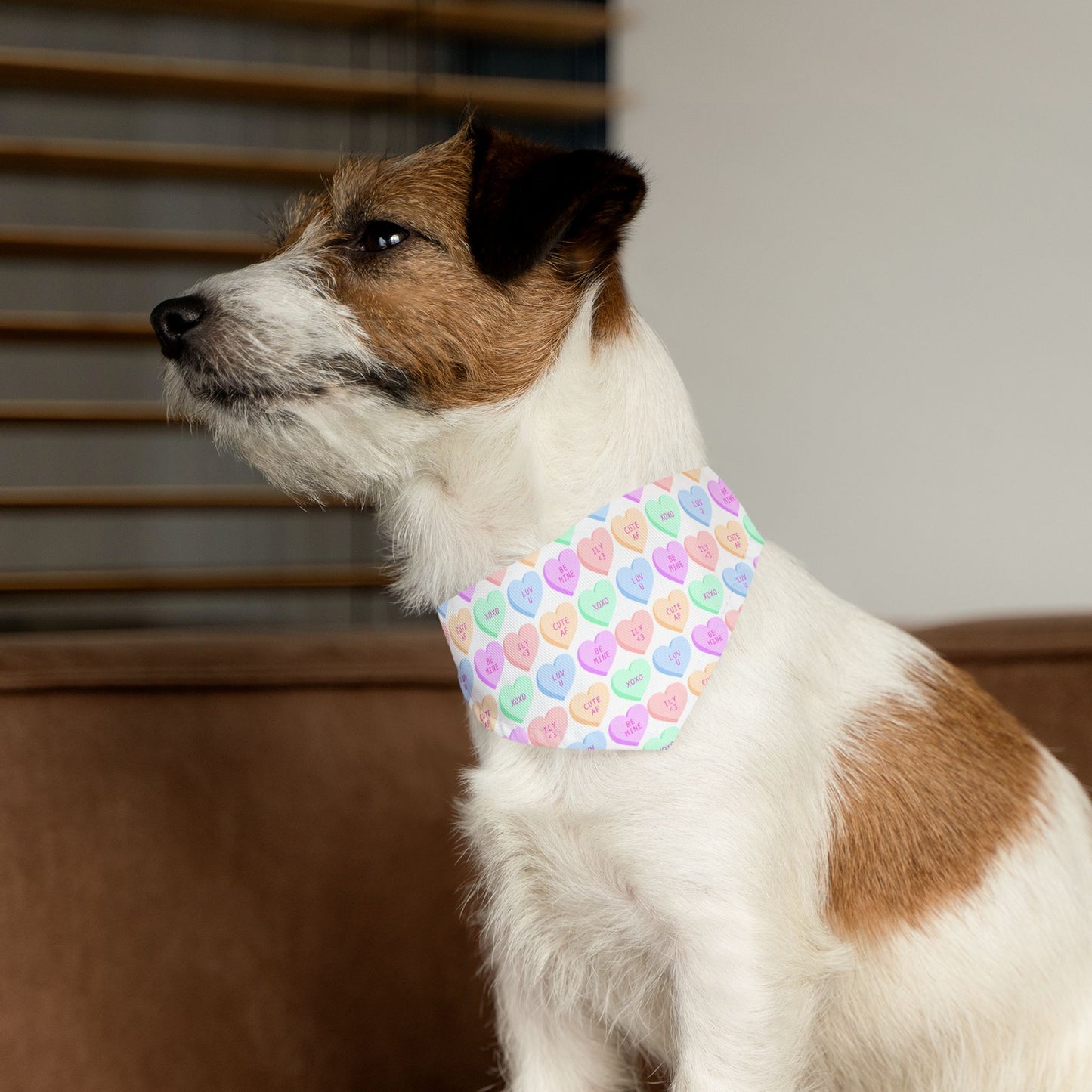 Candy Hearts Pet Bandana Collar