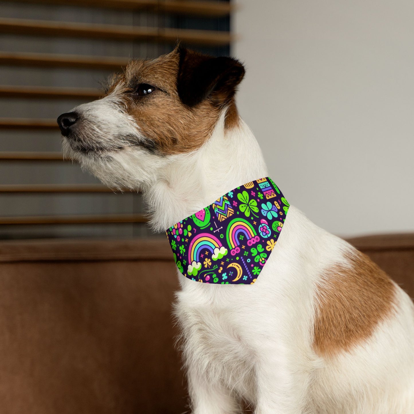 Day-Glo Clover Pet Bandana Collar