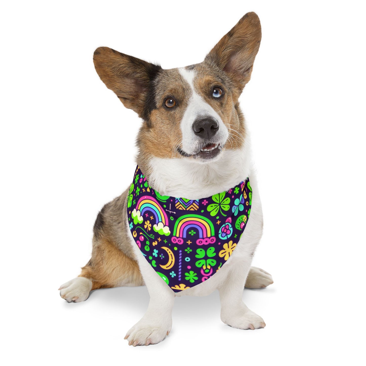 Day-Glo Clover Pet Bandana Collar