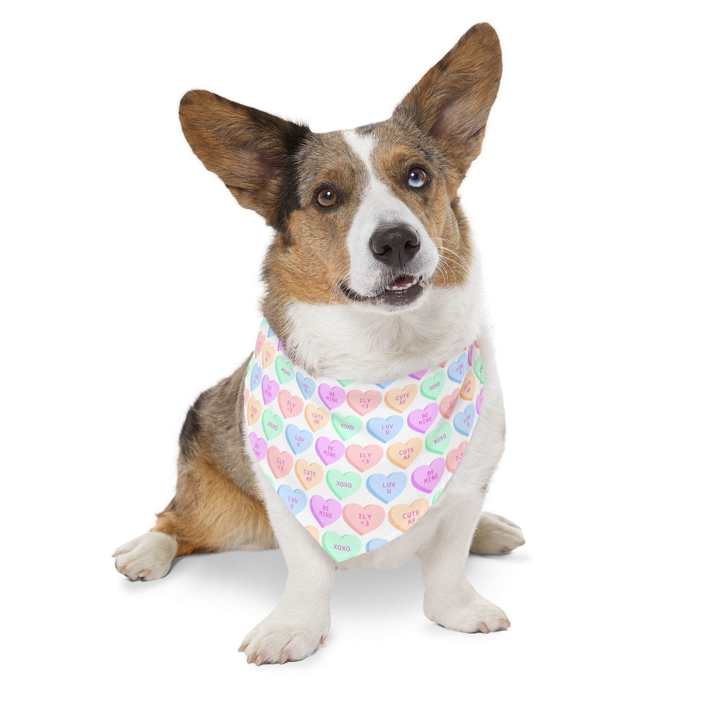 Candy Hearts Pet Bandana Collar