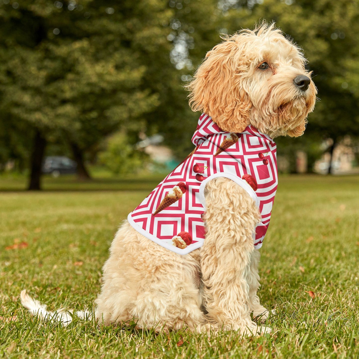 Cherry Bomb Pet Hoodie