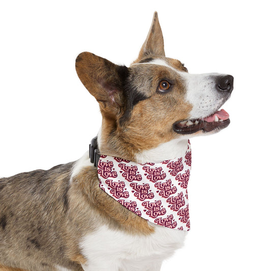 Love is Love Pet Bandana Collar