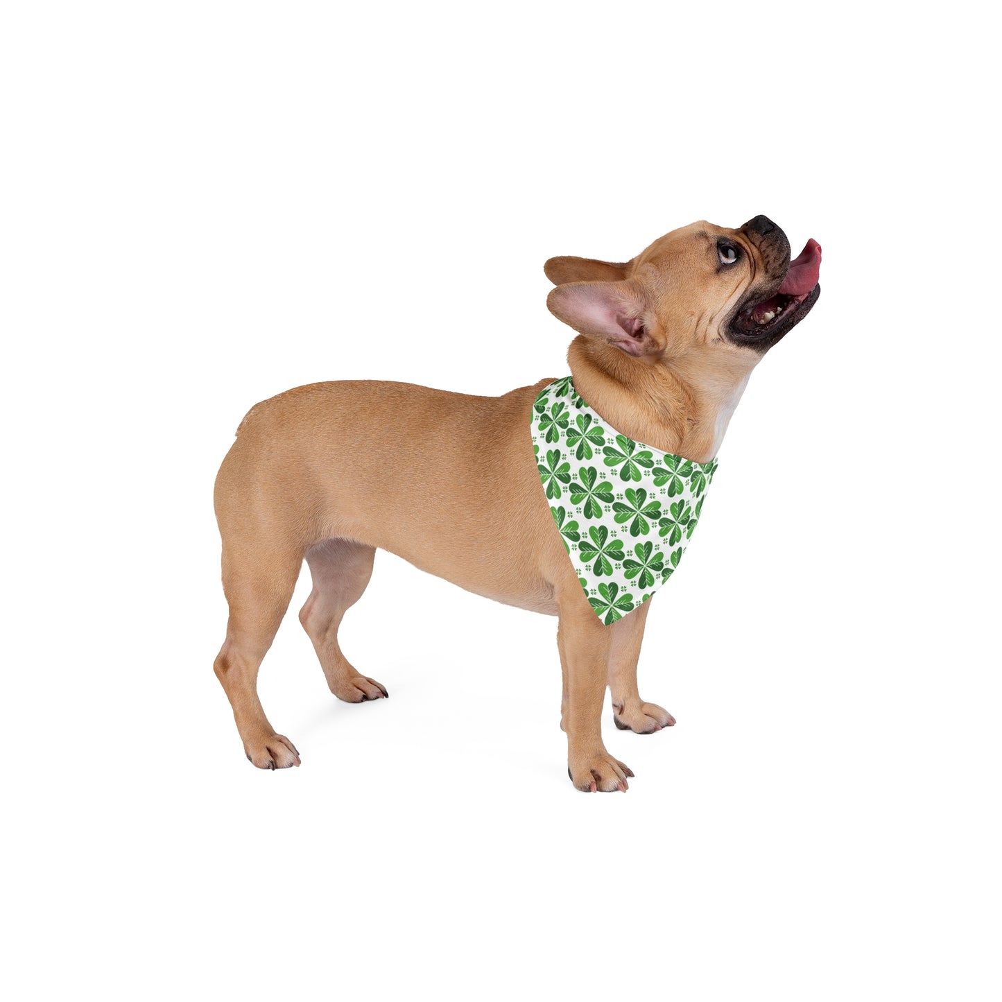 Four Leaf Lucky Pet Bandana