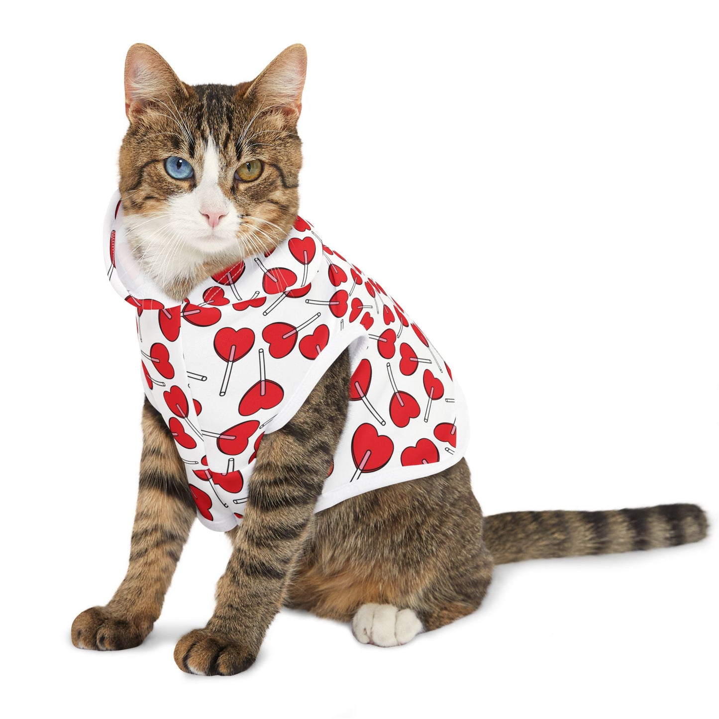 Heart Lollipop Pet Hoodie