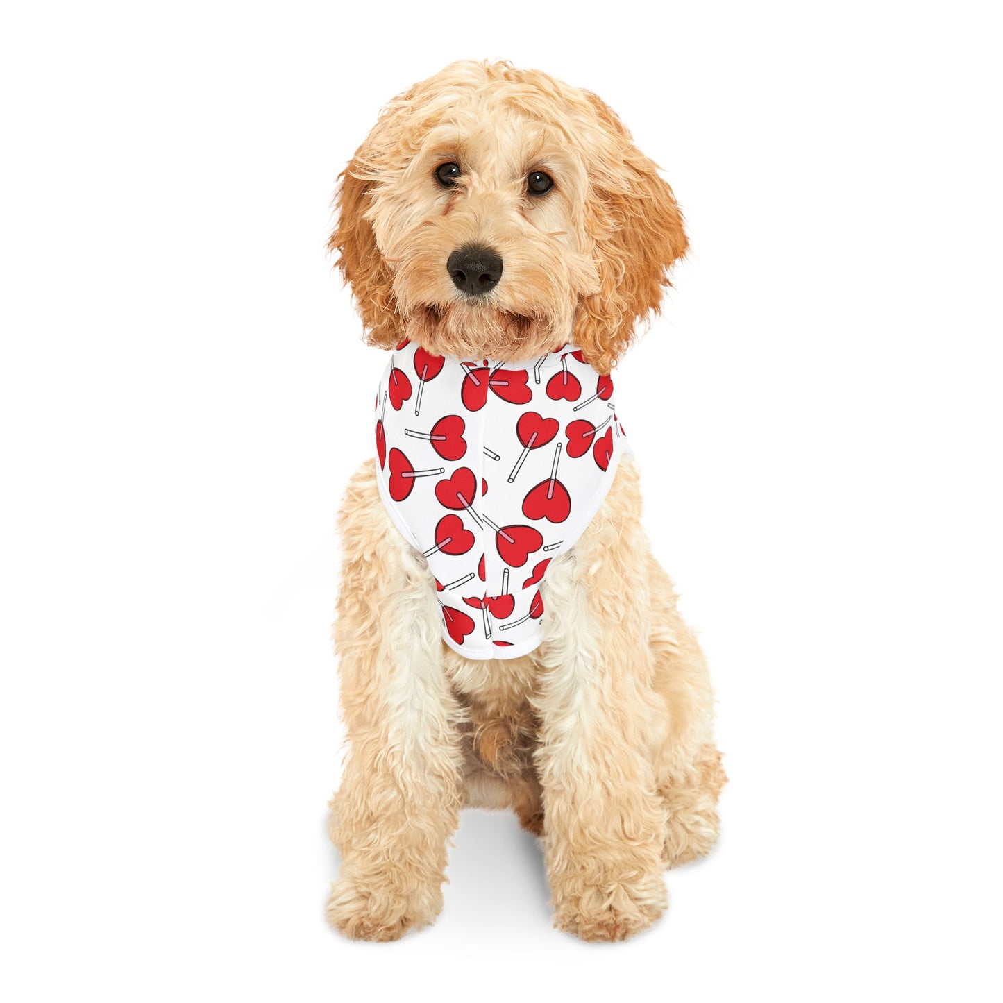 Heart Lollipop Pet Hoodie